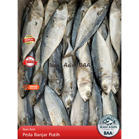 

Ikan Asin Peda Banjar Putih Super | Kembung Banjar | Ikan Kembung | Ikan Peda Putih