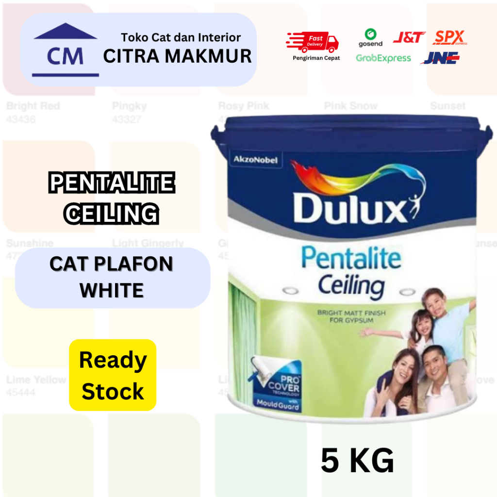 Cat Plafon Dulux Pentalite Ceiling - 5 Kg