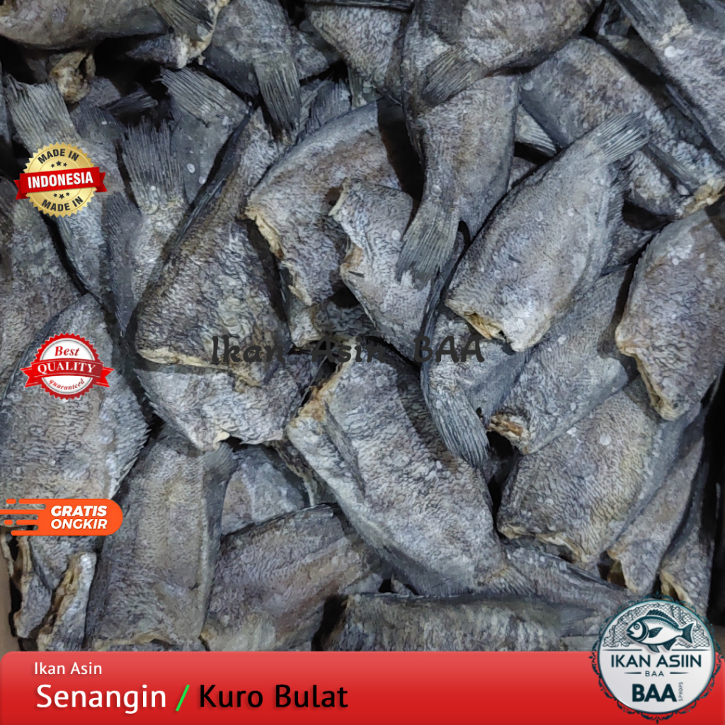 Ikan Asin Sepat Siam Jumbo Super | Sepat Jumbo