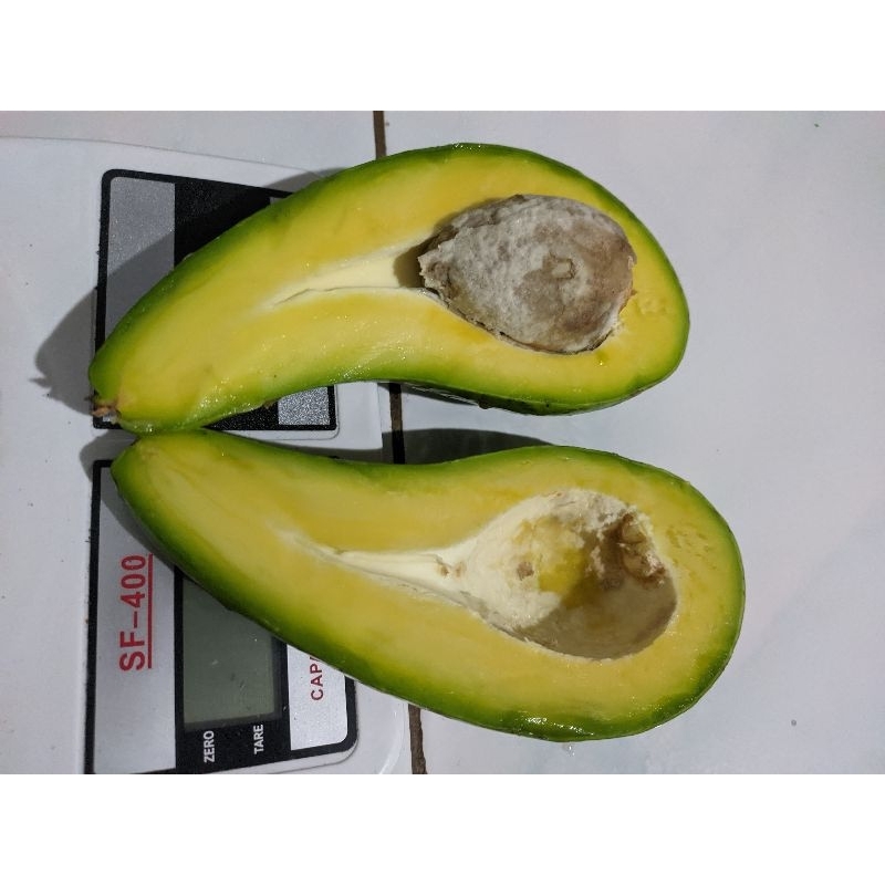 

alpukat mentega 1kg isi 3-4 biji.rasa dijamin nikmat