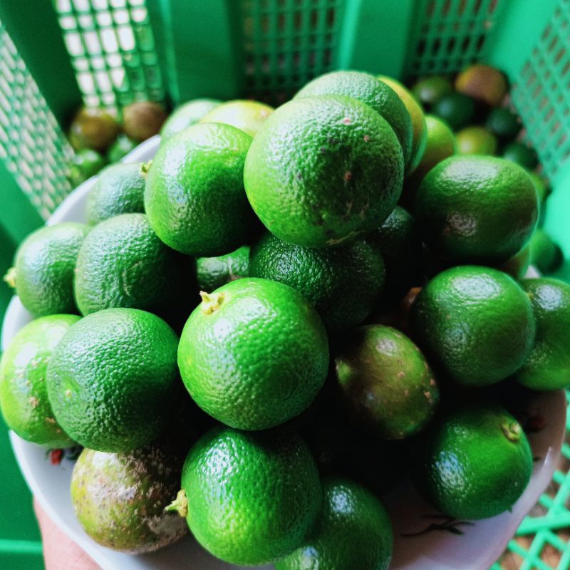 

1kg jeruk sonkit jeruk kasturi lemoncui jeruk peras