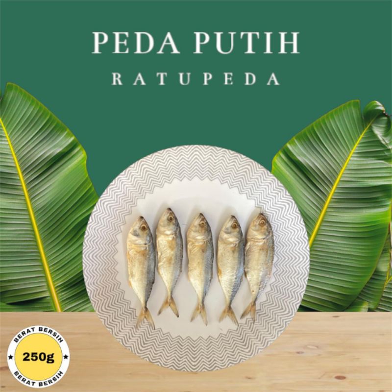 

Ikan Asin Peda Putih Kualitas Premium Super Best Seller
