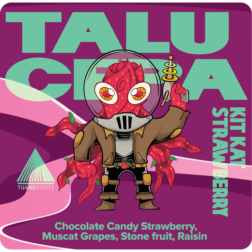 

TALU CEPA - KITKAT STRAWBERRY - Flores Manggarai - Biji Kopi Arabika