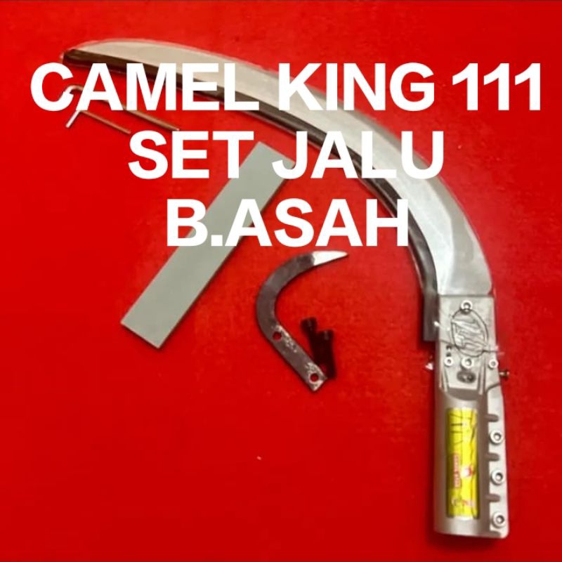CAMEL KING 111 TAJI BATU ASAH