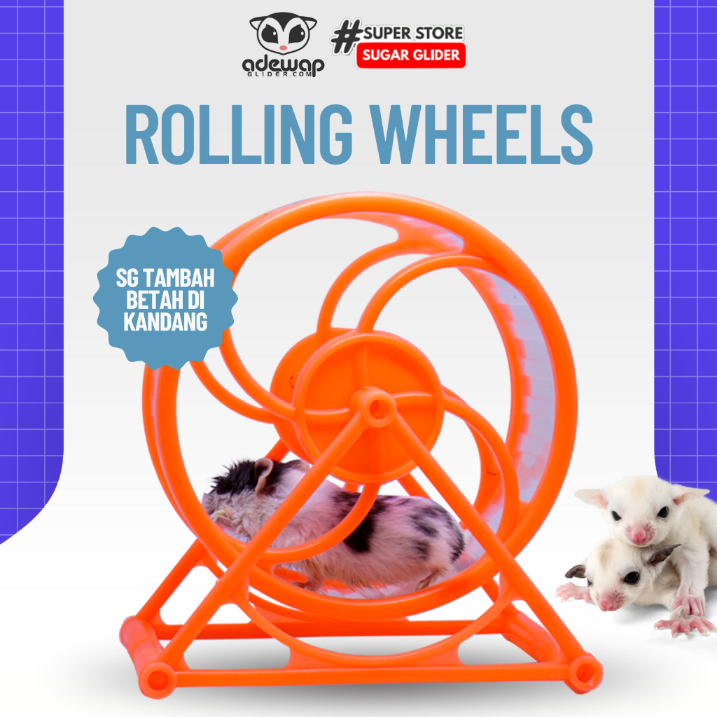 ADEWAP GLIDER Rolling Wheel Exerise 8 Sweet Mainan Sugar Glider
