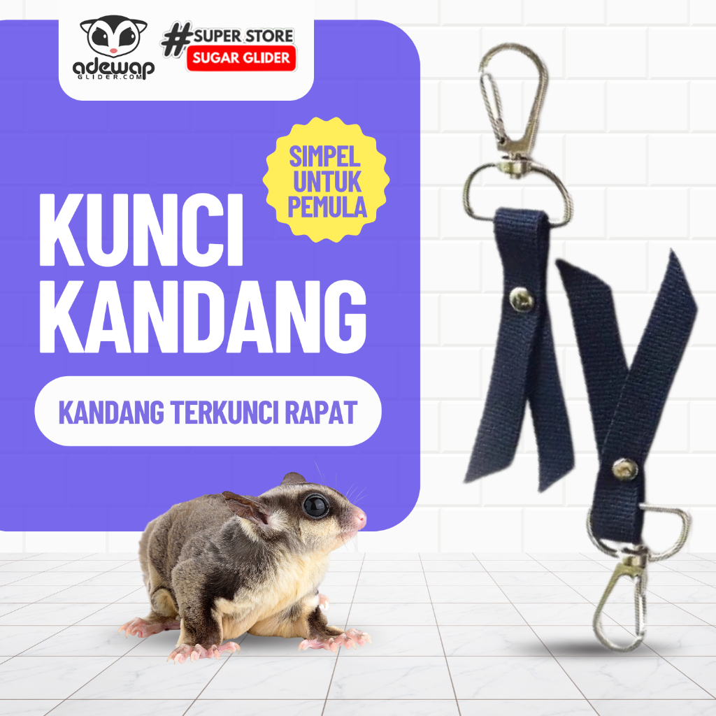 ADEWAP GLIDER Cage Lock Kunci Untuk Kandang Sugar glider