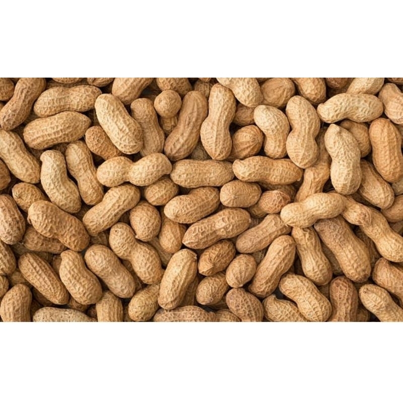 

1kg kacang tanah kulit
