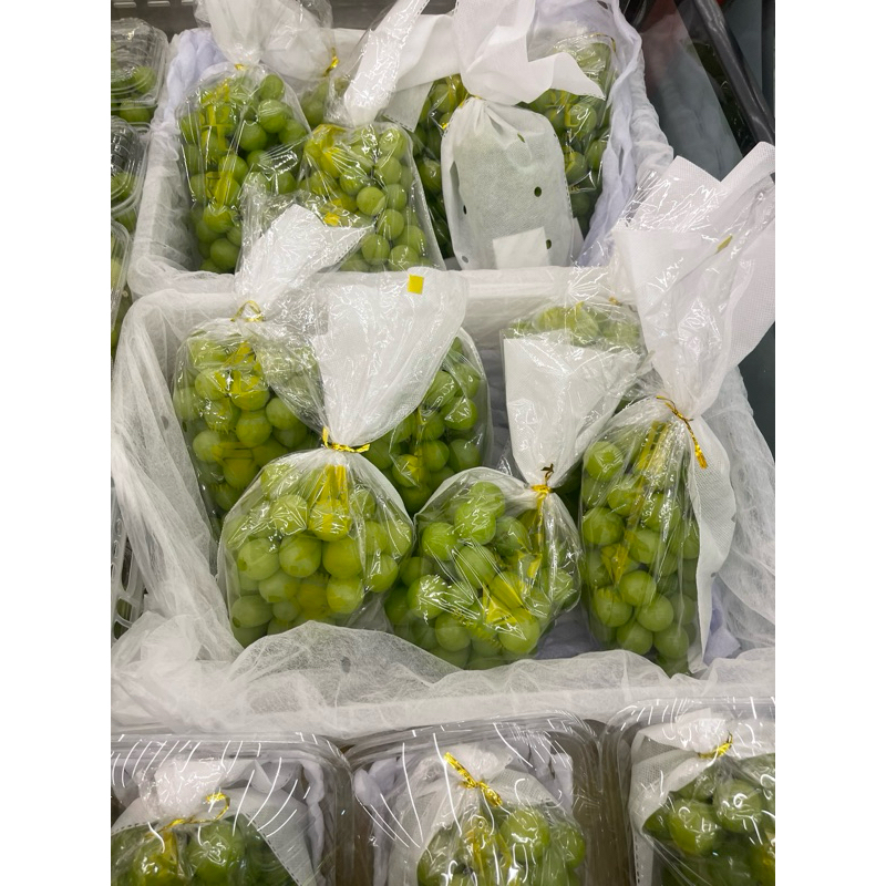 

Anggur hijau shine muscat sweet fresh-+700 gram