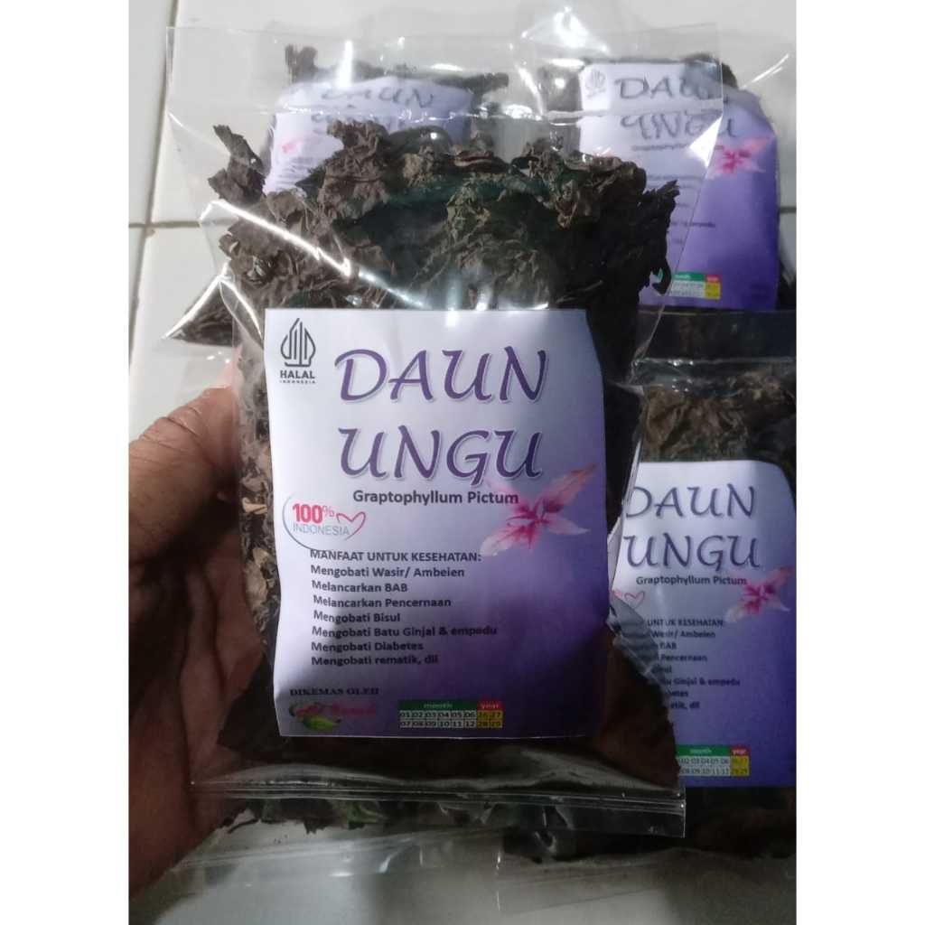

Teh Seduh Daun Ungu 40gr Untuk Wasir (Ambeien) Dan Haid