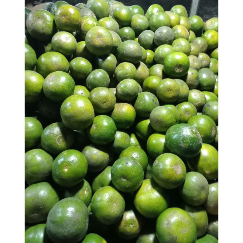 

jeruk manis jember 250gram