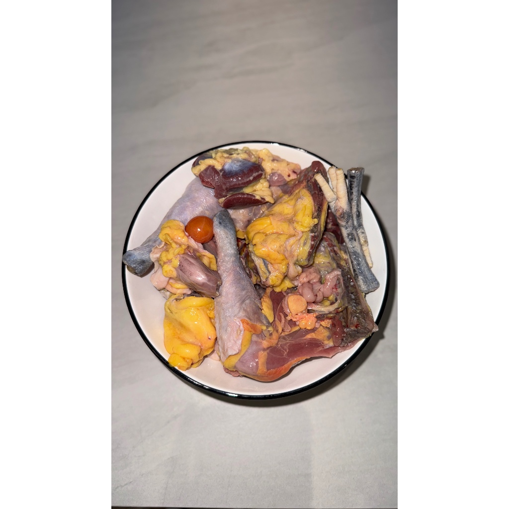 

Ayam Kampung Liar Biang grade SUPER / UNTUK KALDU BB BOOSTER MPASI BABY
