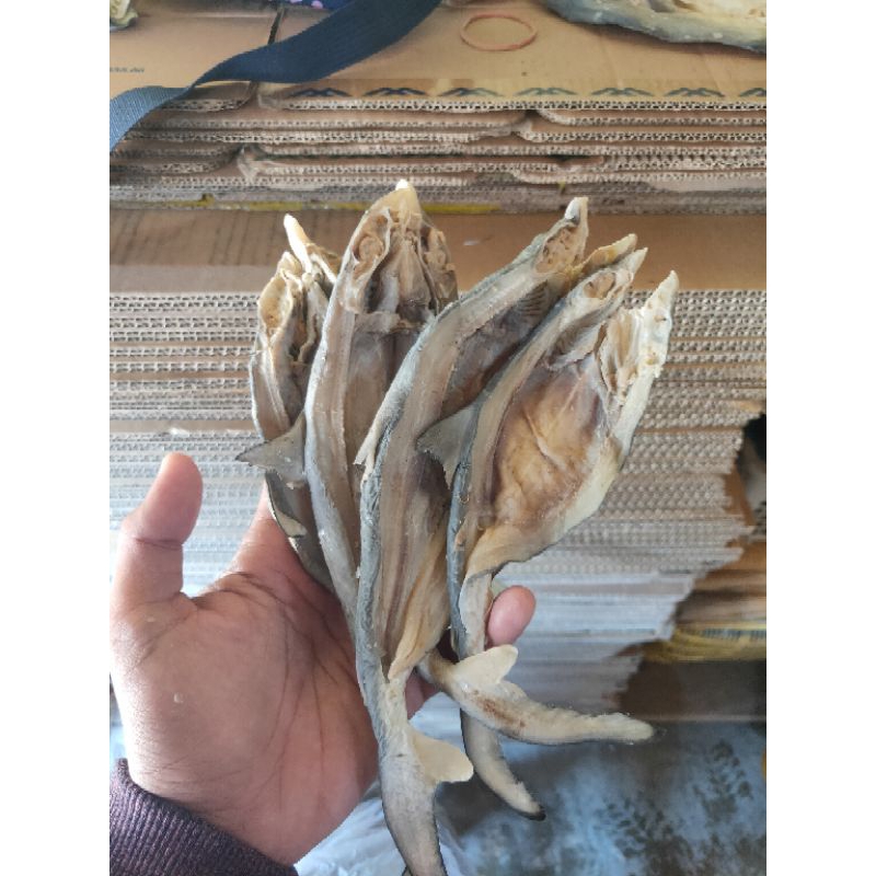 IKAN ASIN CUCUT UTUH / HIU KECIL ISI 1KG