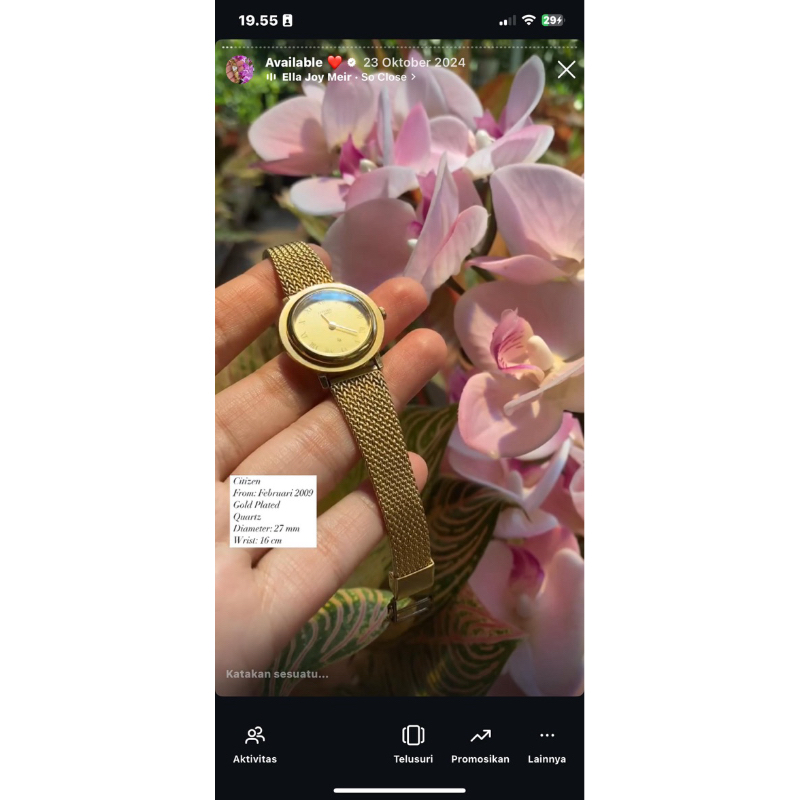 Citizen Vintage Watch 2009