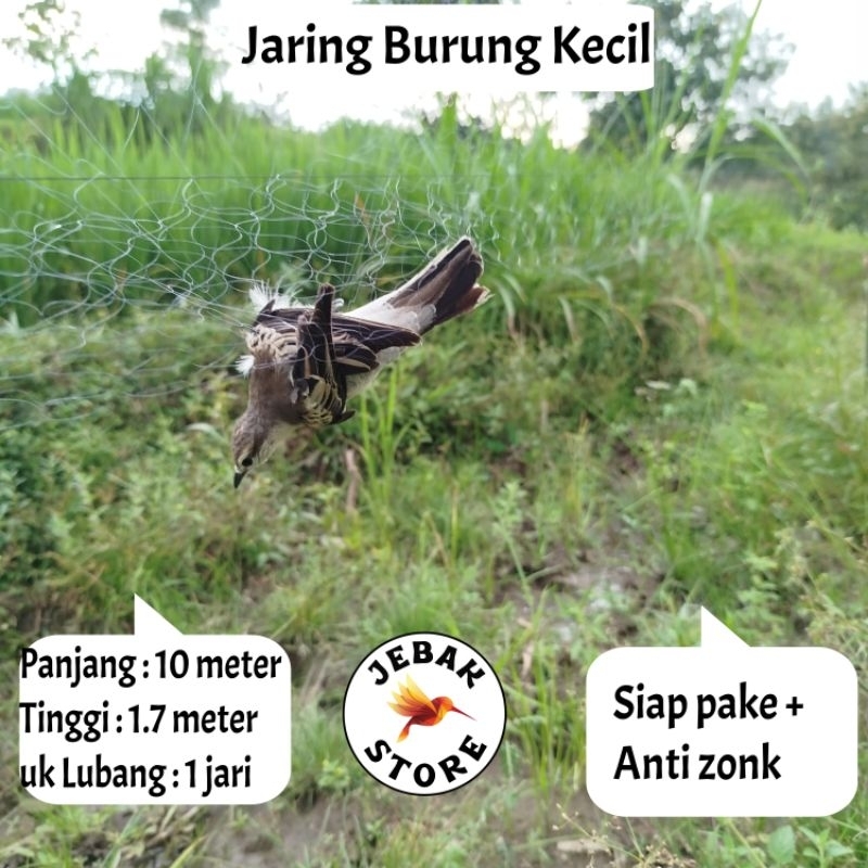 JARING BURUNG EMPRIT JARING BURUNG KECIL JARING BURUNG SAWAH JARING BURUNG PIPIT PEKING MURAH JARING