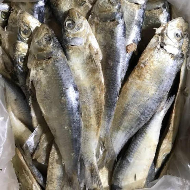 

ikan asin tembang 250gr