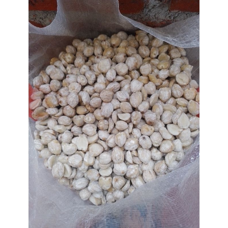 

kemiri kupas (bulat+pecah dua)