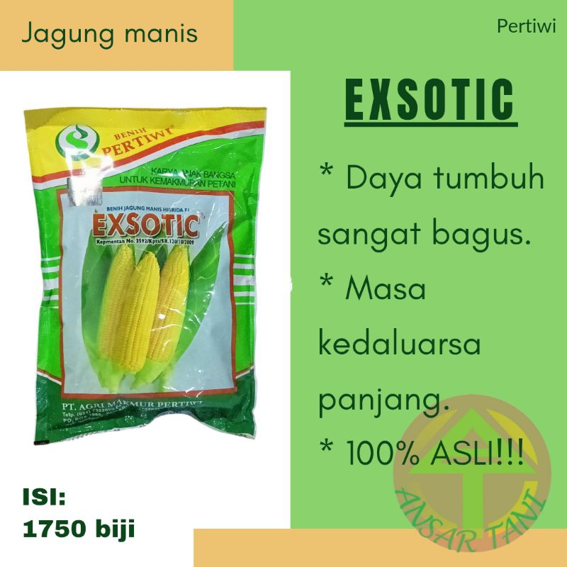 Benih Jagung Manis EXOTIC PERTIWI isi 1.750 biji Benih Unggul Pertiwi