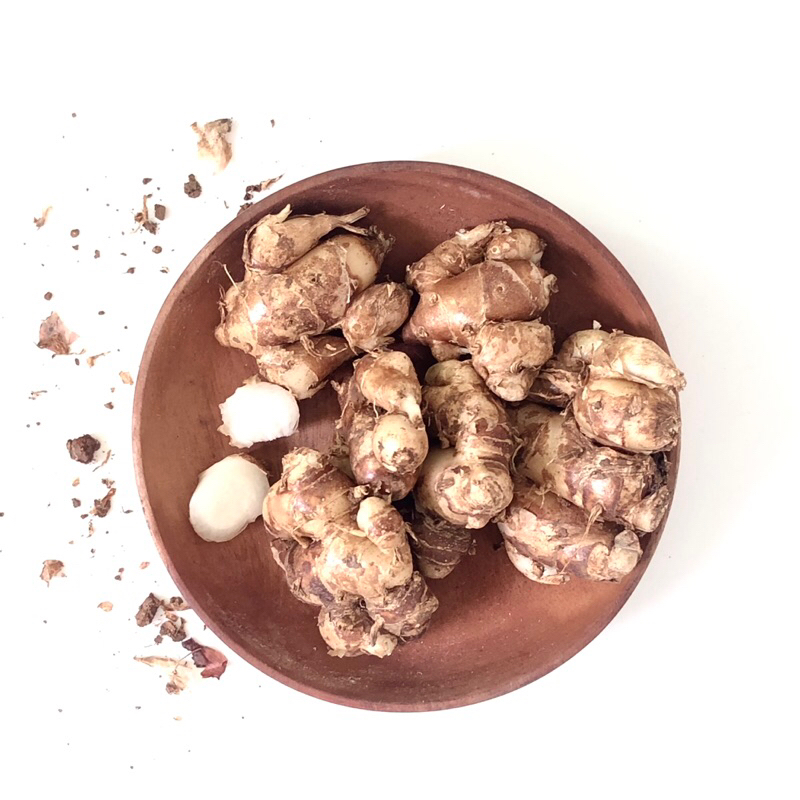 

KENCUR KERING PREMIUM QUALITY