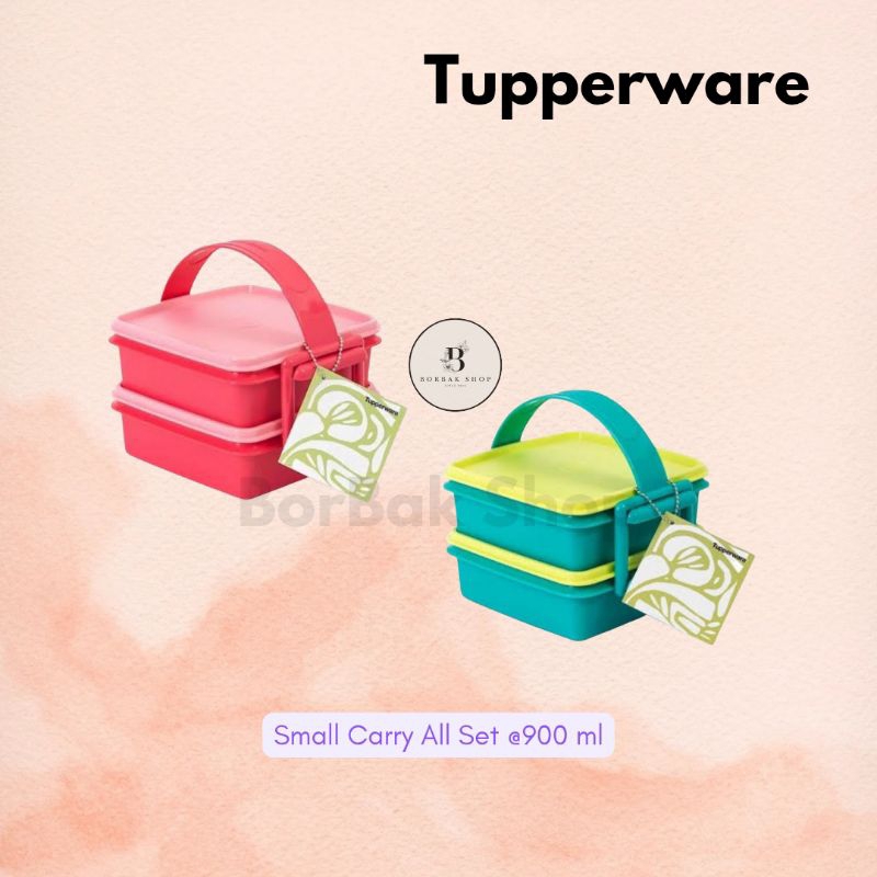 Small Carry All Set Tupperware | Rantang Tupperware | Rantang 2 Tingkat