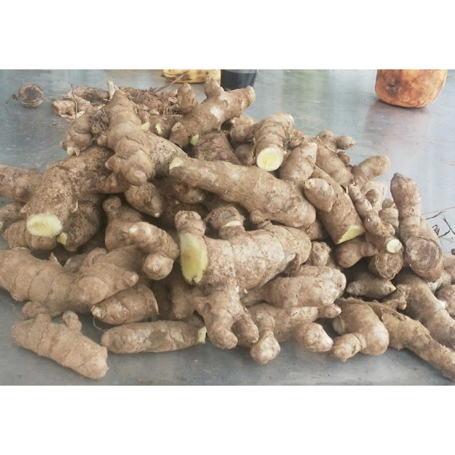 Jahe Emprit Cuci Super/ Jahe Emprit Lokal/ Jahe Emprit Segar/ Fresh Local Emprit Ginger