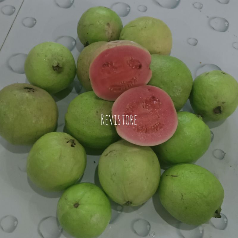 

Jambu Biji Merah Kualitas terbaik 1kg