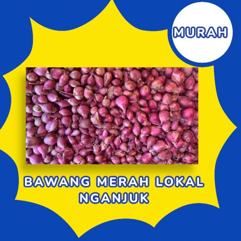

Bawang Merah Lokal Nganjuk Besar