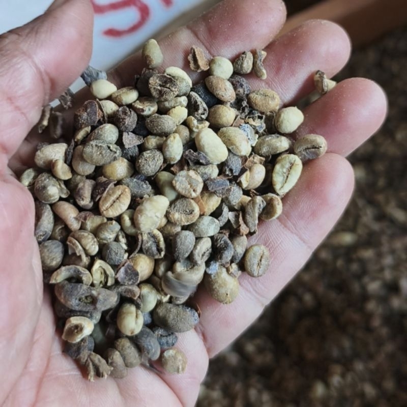 

Kopi Pixel. kopi rijek 1kg. Kopi Pupuan,Tabanan, Bali