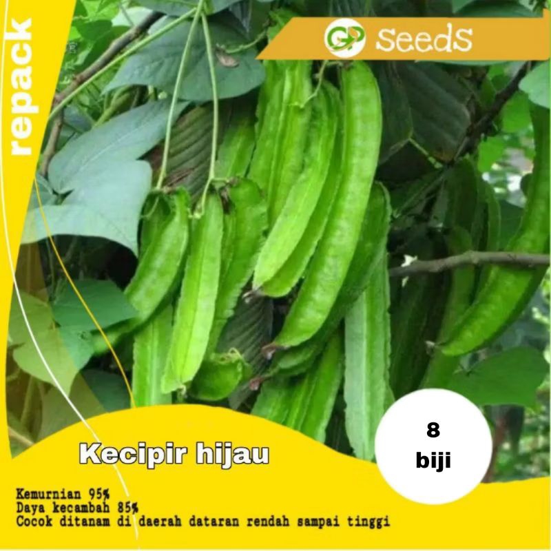 benih kecipir hijau panjang | benih sayuran | bibit sayuran | benih tanaman
