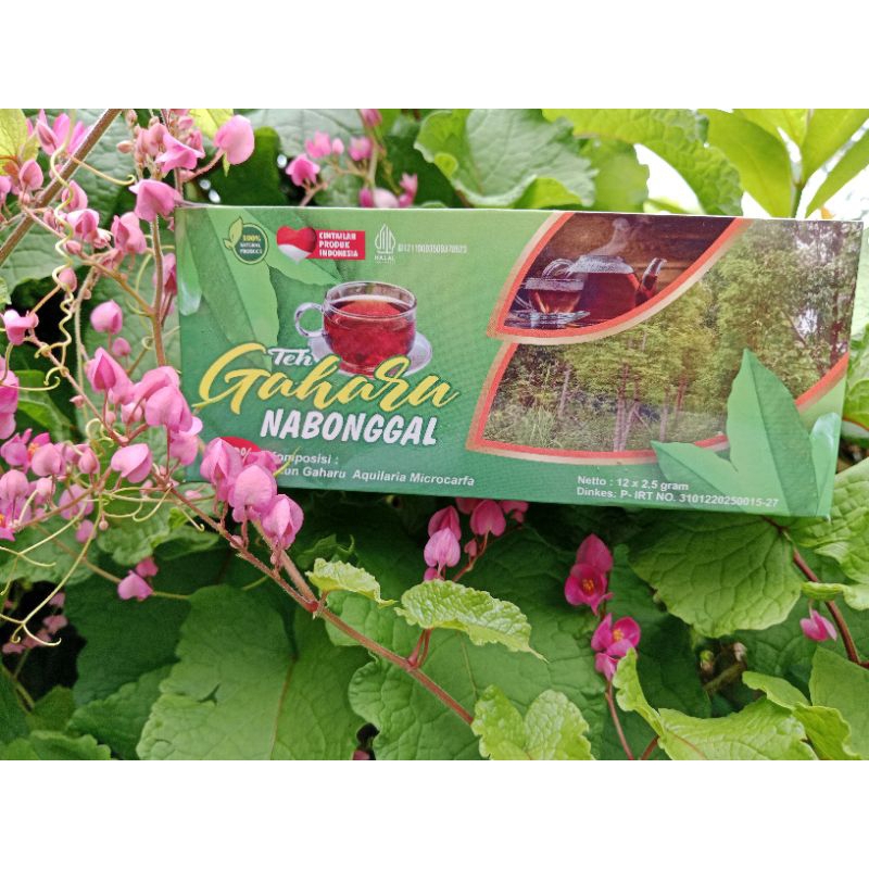 

Teh Gaharu original