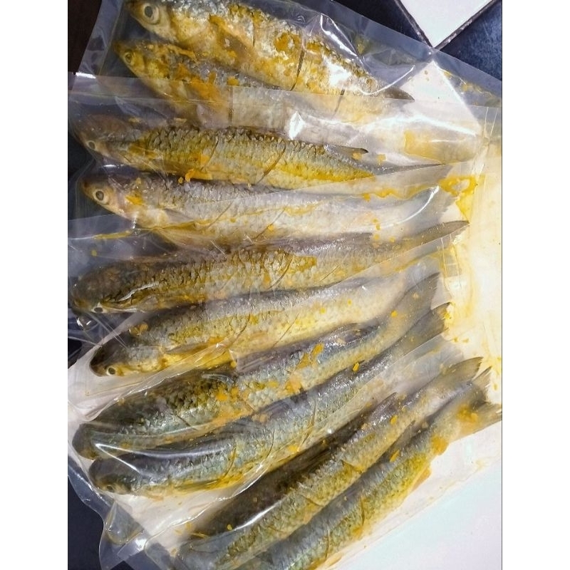 

blanak bertelur marinasi