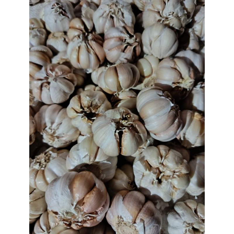 

BAWANG PUTIH BERSIH 250 GRAM. 500 GRAM.1 KG.