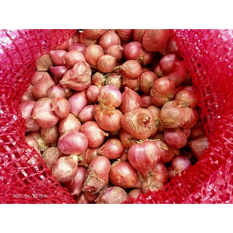 

Bawang merah superan super murah