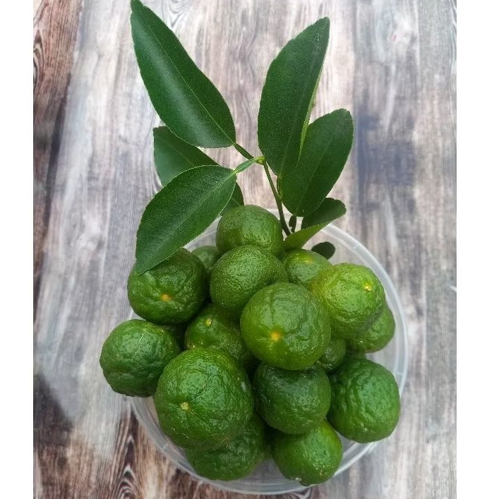 

Jeruk Limau Segar 500gr hasil petik kebun sendiri