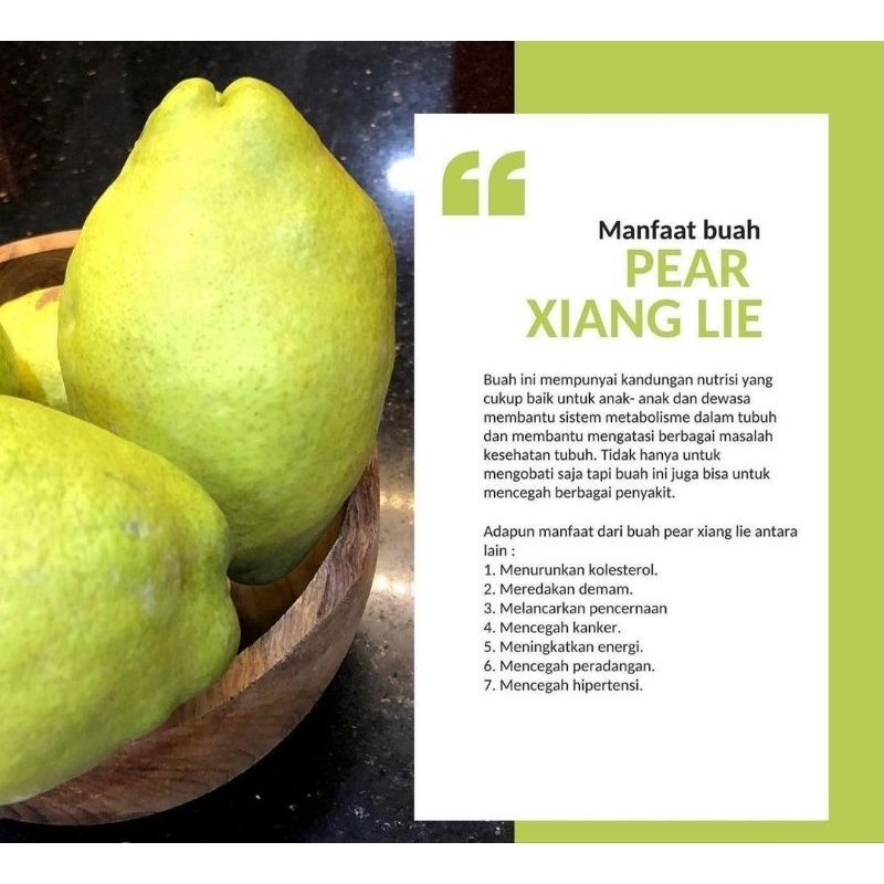 

Pir Pear Xianglie Premium Manis Renyah Juicy Segar dan Berkualitas Termurah Terbaik 1Kg Cibinong