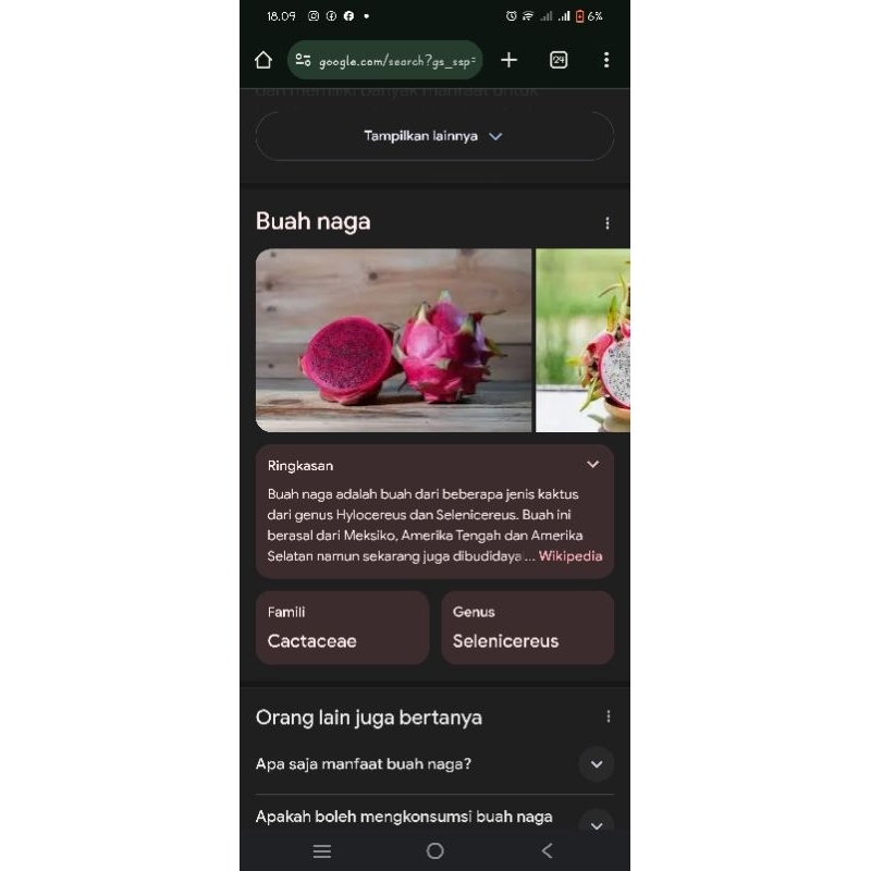 

buah naga