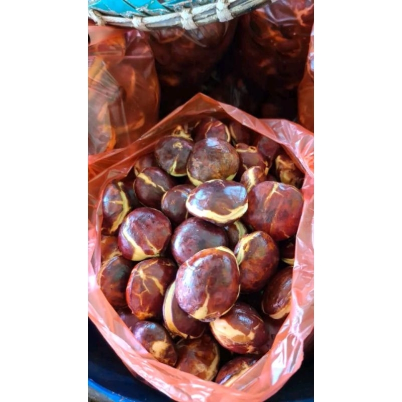 

jengkol,jengki,jreng tua fres kemasan 500gram