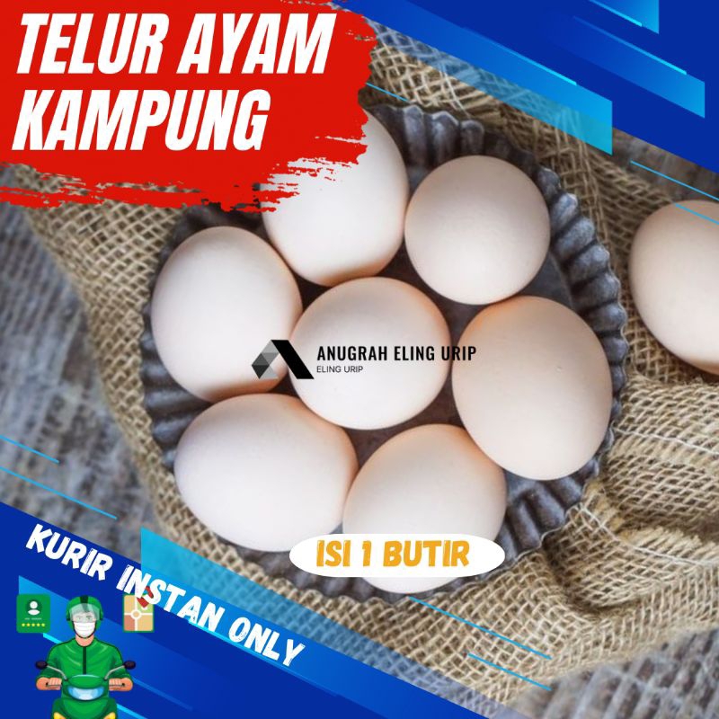

Telur Ayam Kampung Kuning Butiran