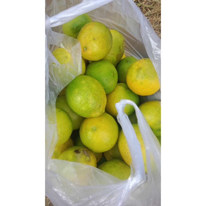 

Lemon lokal California