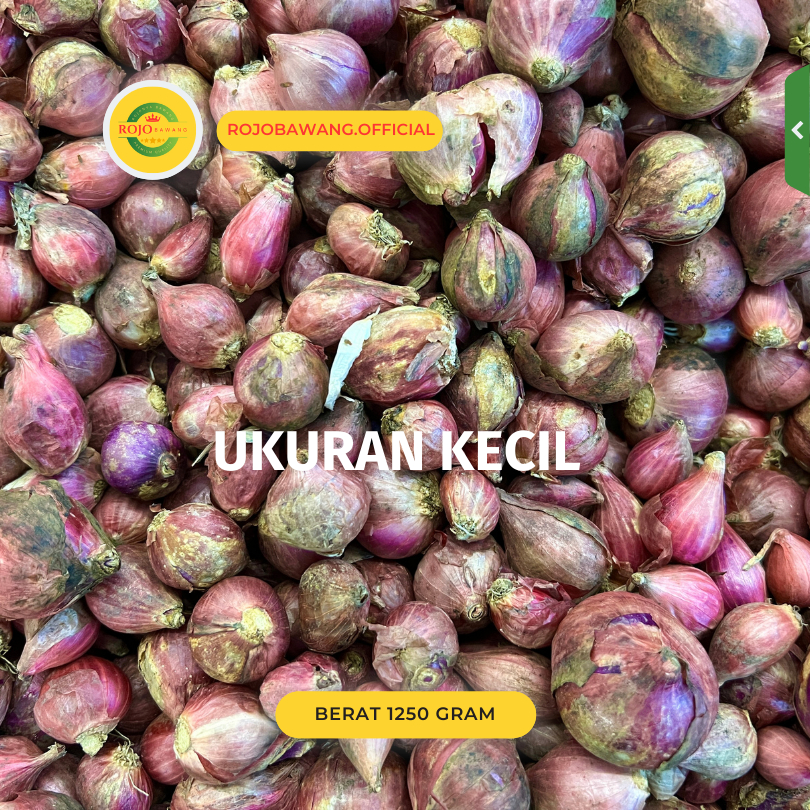 

Bawang Merah Kering 1 kg kecil rata Bawang Merah Kering Gerusan Lembut