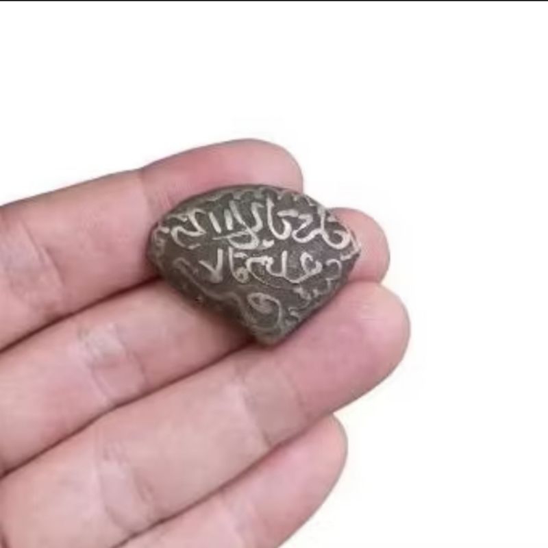 

koleksi kerang bungkem hitam rajahh