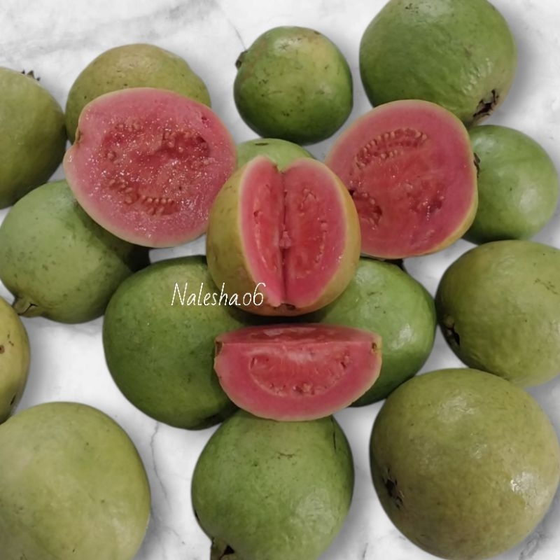 

Jambu Biji Freah 1Kg Organik