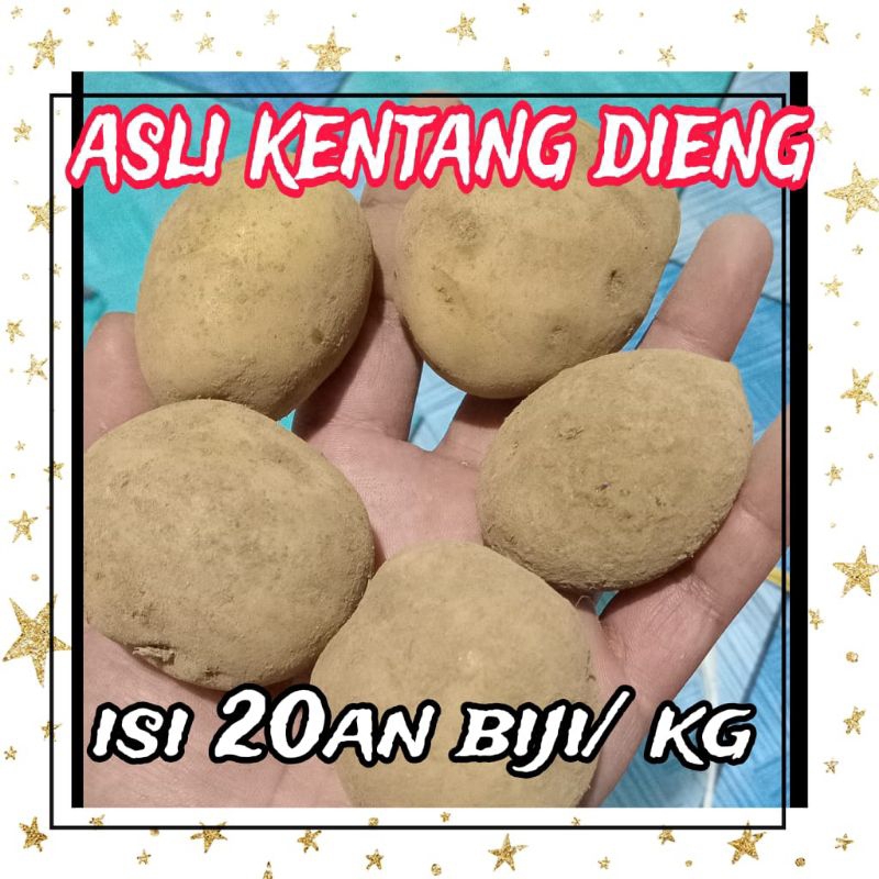 

kentang dieng 1 kg ukuran DN isi 20 biji