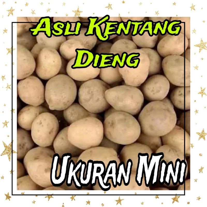 

kentang asli dieng 1kg ukuran mini
