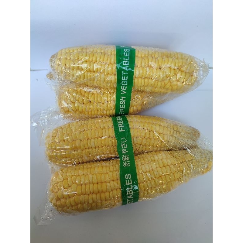 

Jagung Manis