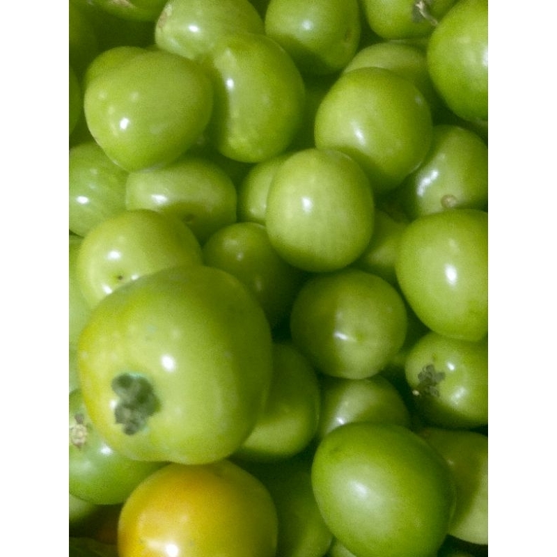 

Tomat ijo Sayur segar/sayuran segar