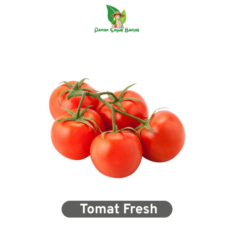 

Tomat | Tomat Segar | Tomat Sayur | Tomat Buah | Tomat Lokal (250 g) (500 g) (1 kg)