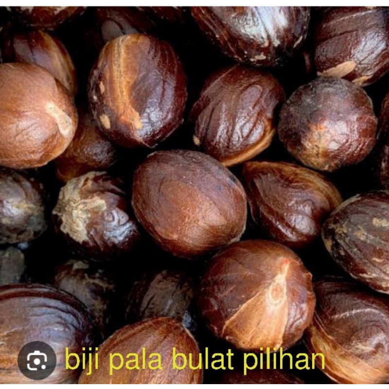 

biji pala bulat pilihan fres