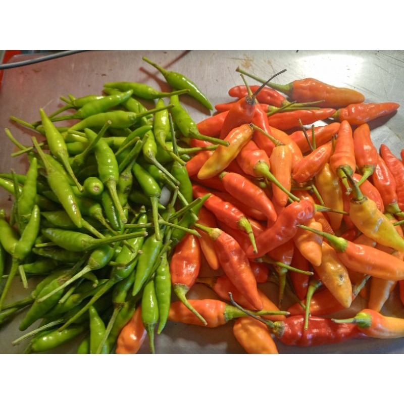 

rawit merah + rawit ijo 150grm
