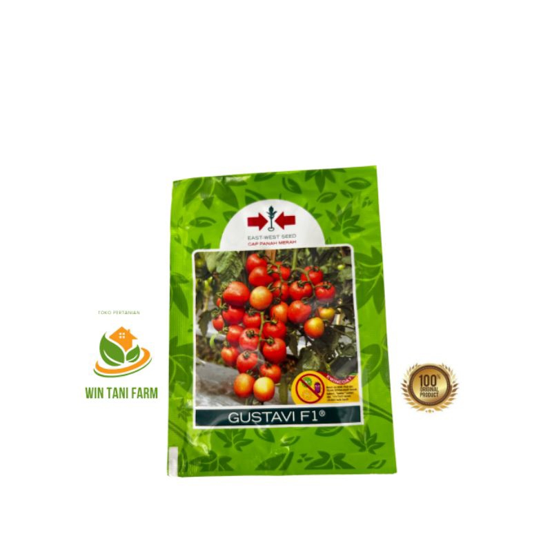 benih Tomat Gustavi F1 cap panah merah
