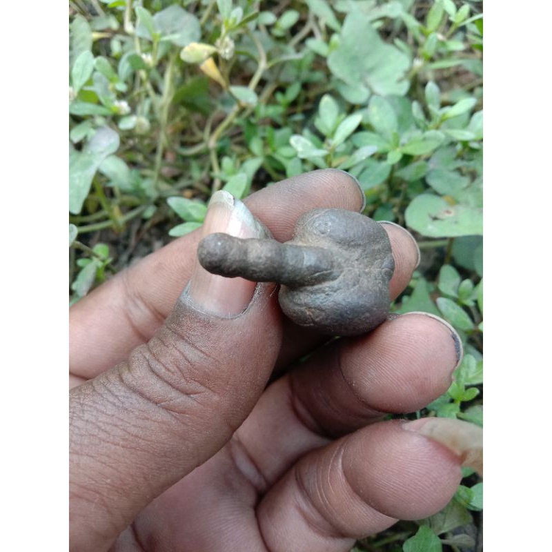 batu unik alami sarutomo